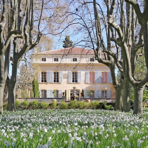 Château de Beaupré derrière un champ de narcisses et entre des platanes